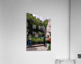 DSC00097 Acrylic Print