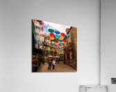DSC00132 Acrylic Print
