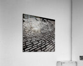 DSC00175 Acrylic Print