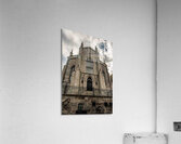 DSC00310 Acrylic Print