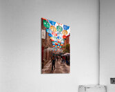 DSC00136 Acrylic Print