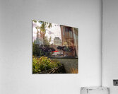 DSC00169 Acrylic Print