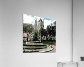 DSC00292 Acrylic Print