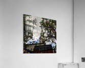 DSC00296 Acrylic Print