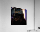 DSC00017 Acrylic Print