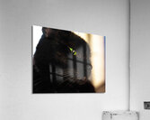 DSC00014 Acrylic Print