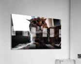 DSC00024 Acrylic Print