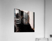 DSC00010 Acrylic Print