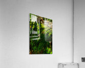 DSC00700 Acrylic Print