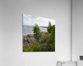 DSC00706 Acrylic Print