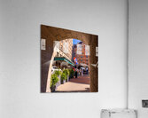 DSC00593 Acrylic Print
