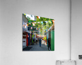 DSC00607 Acrylic Print