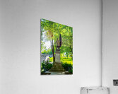 DSC00617 Acrylic Print