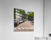 DSC00608 Acrylic Print