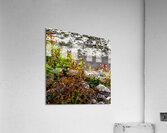 DSC00646 Acrylic Print
