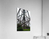 DSC00670 Acrylic Print