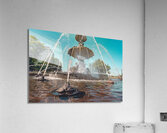 DSC00574 Acrylic Print