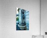 DSC00580 Acrylic Print