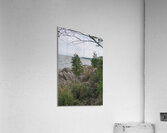 DSC00707 Acrylic Print