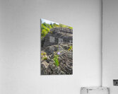 DSC00723 Acrylic Print