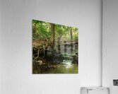 DSC00741 Acrylic Print