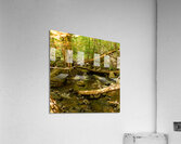 DSC00749 Acrylic Print