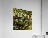 DSC00747 Acrylic Print
