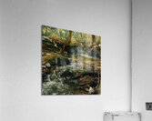 DSC00743 Acrylic Print