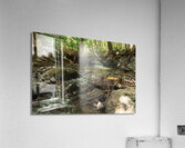 DSC00745 Acrylic Print