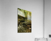 DSC00742 Acrylic Print