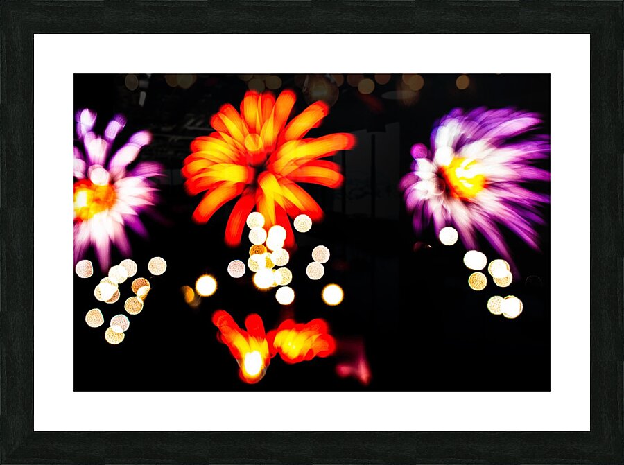 DSC00388 Picture Frame print
