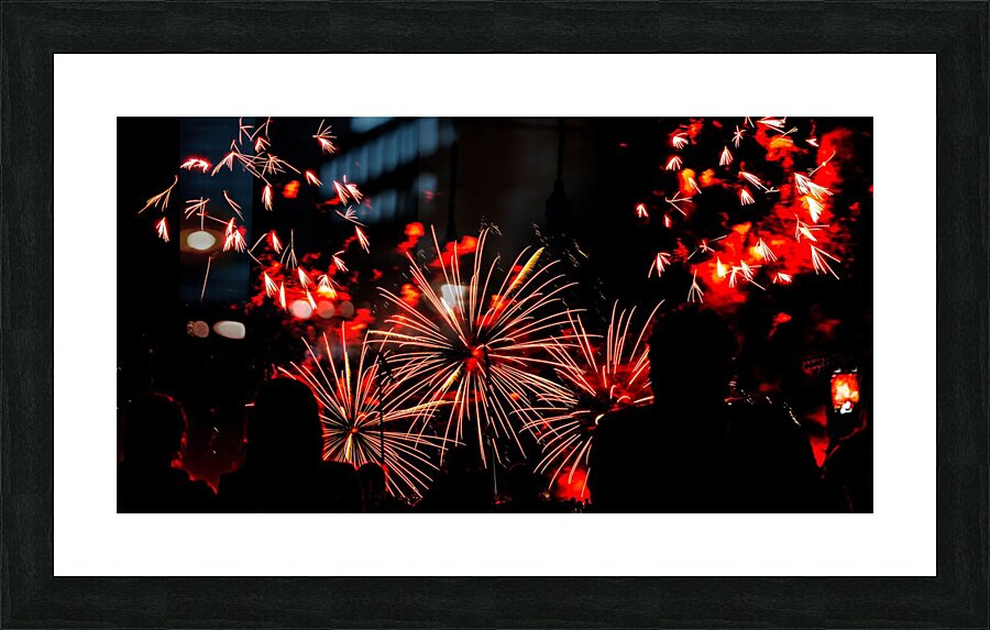 DSC00370 Picture Frame print