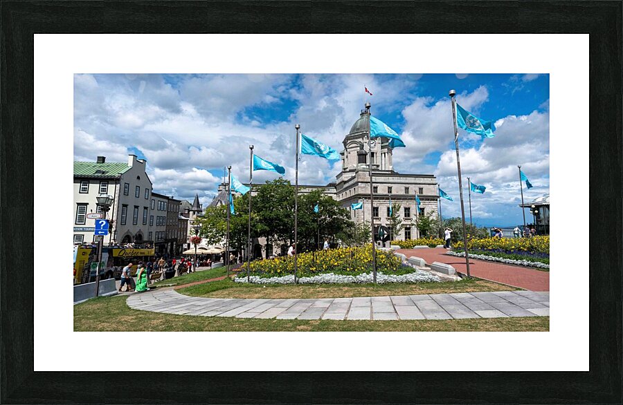 DSC00063 Picture Frame print