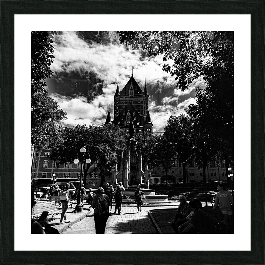 DSC00049 Picture Frame print