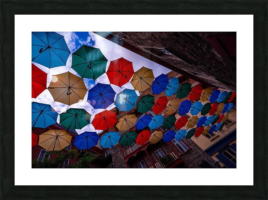 DSC00133 Picture Frame print