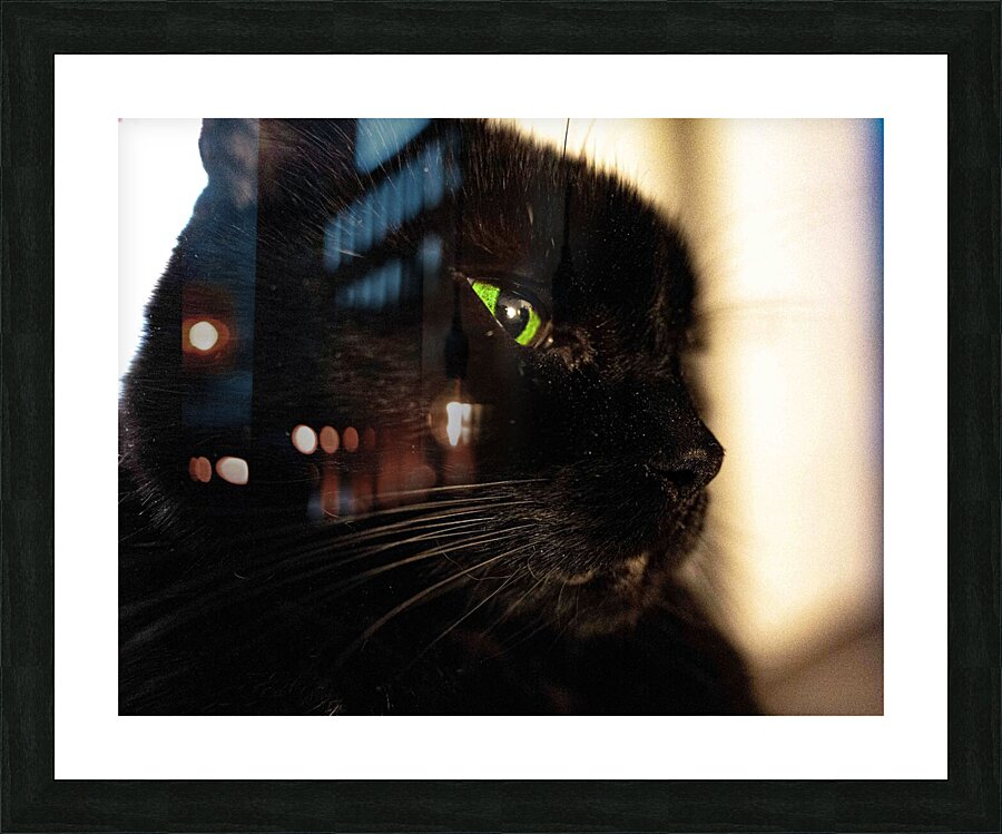 DSC00014 Picture Frame print