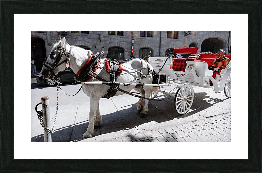 DSC00596 Picture Frame print