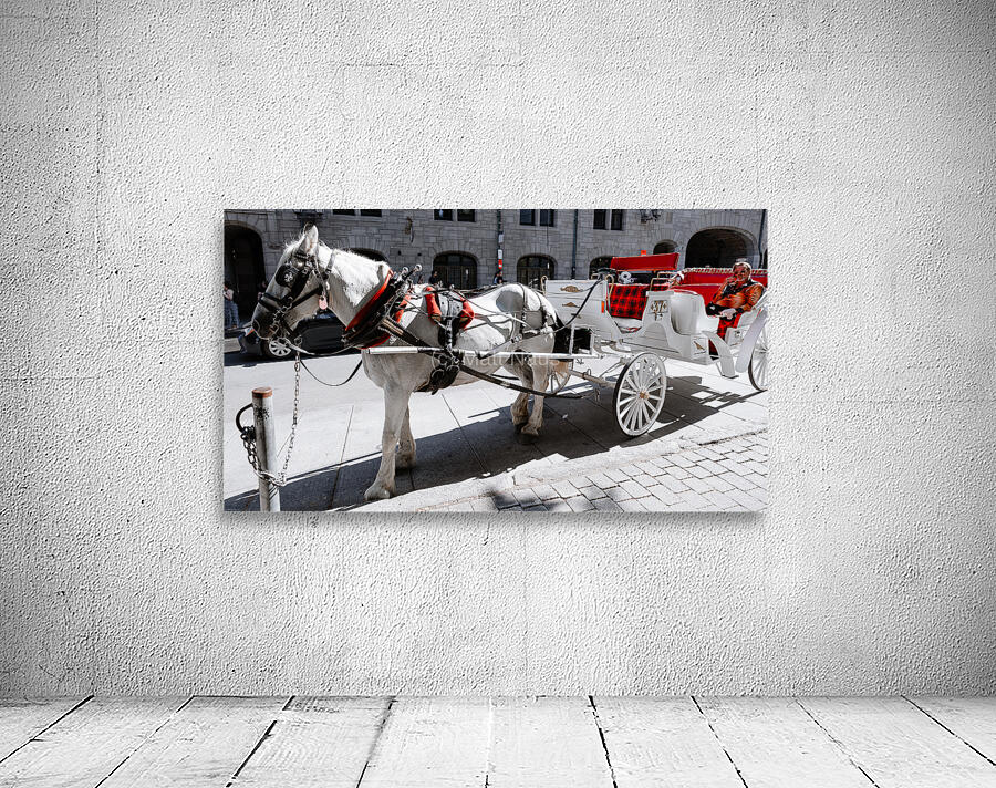 DSC00596 Wall Preview