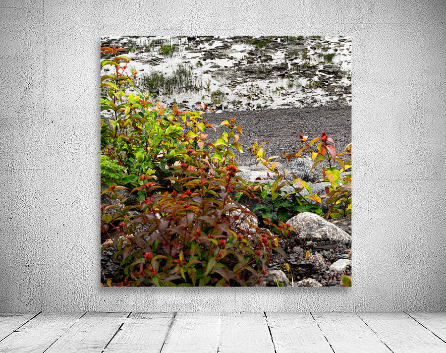 DSC00646 Wall Preview