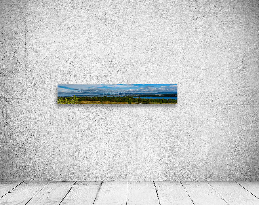 DSC00691 Wall Preview