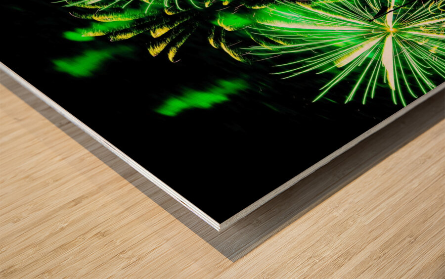 DSC00378 Wood print