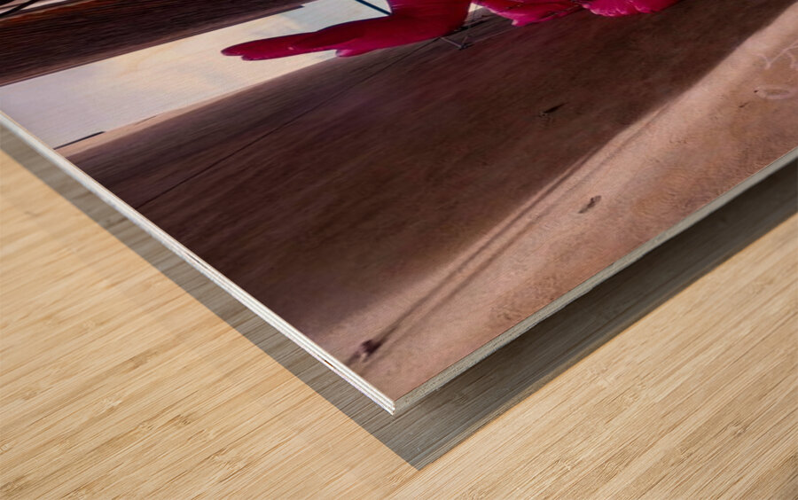 DSC00115 Wood print