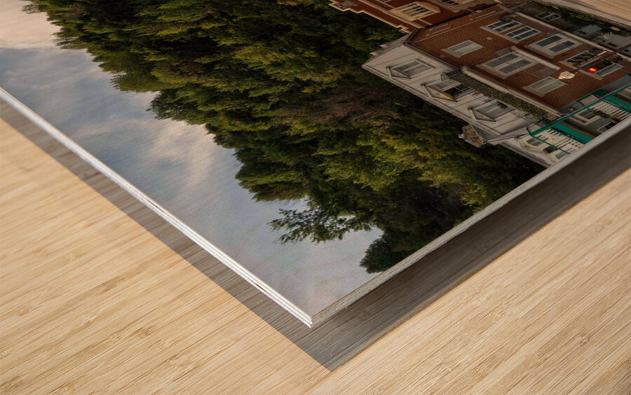 DSC00329 Wood print