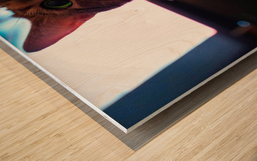 DSC00023 Wood print