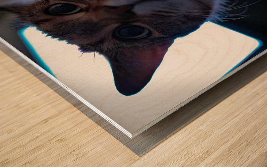 DSC00021 Wood print