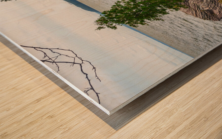 DSC00706 Wood print