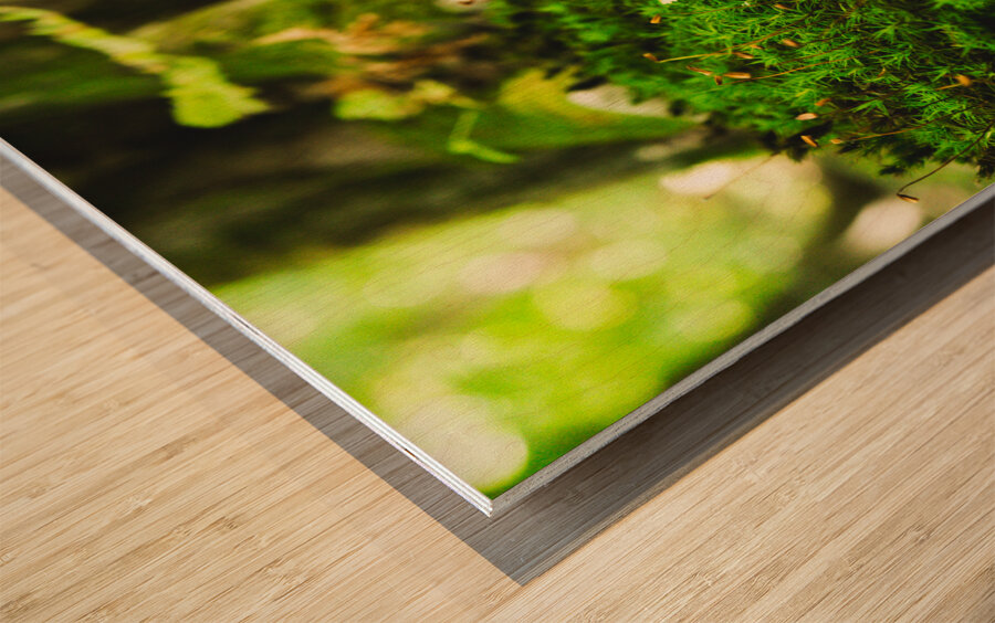 DSC00698 Wood print