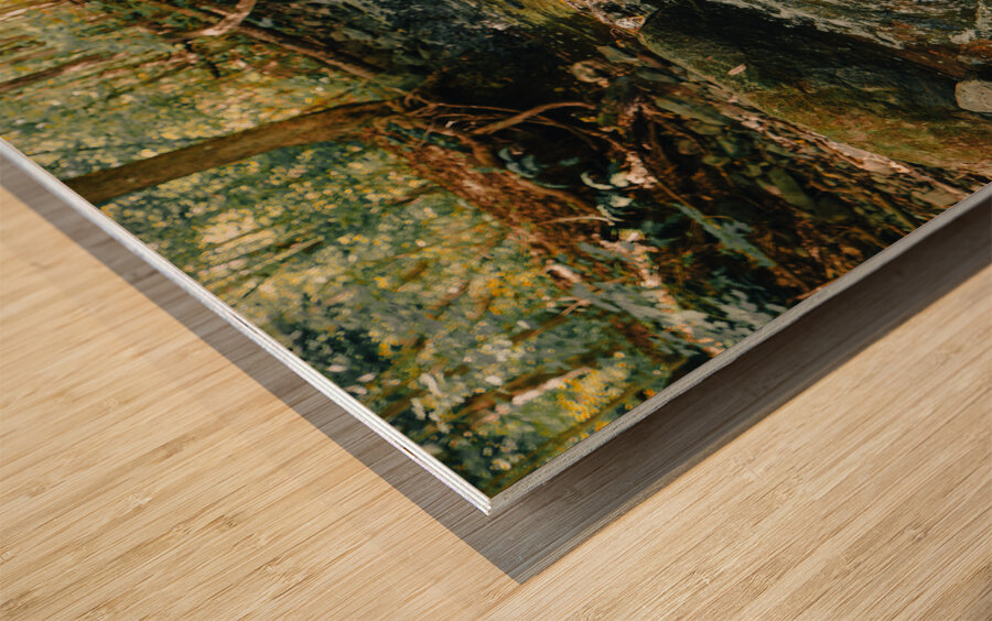 DSC00743 Wood print