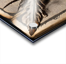 book quill feather Acrylic print