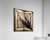 book quill feather Acrylic Print